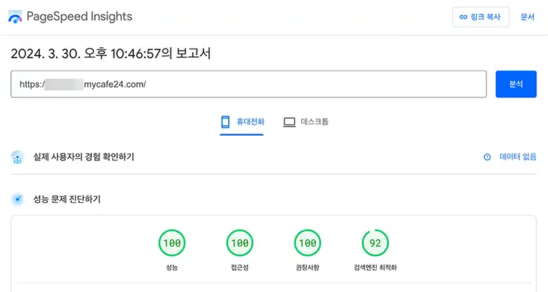 블로그 개설 직후 PageSpeed Insights 에서의 성능