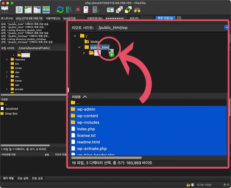 wp 폴더 아래 폴더와 파일을 전체 선택해 루트 폴더인 public_html로 옮겨준다