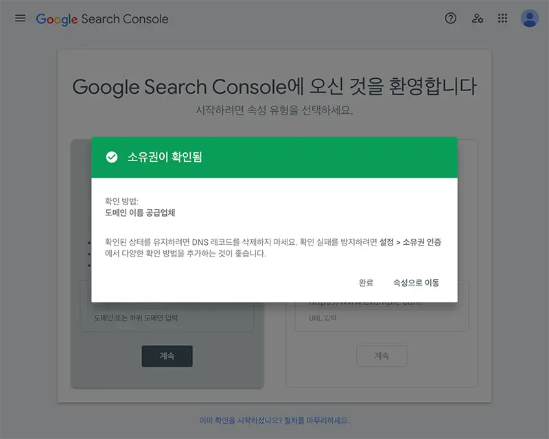 도메인 소유권 확인이 완료된 모습